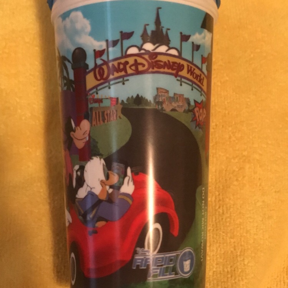Disney World Cup